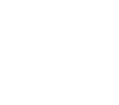 VISION